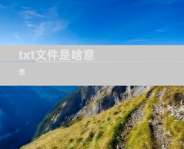 txt文件是啥意思