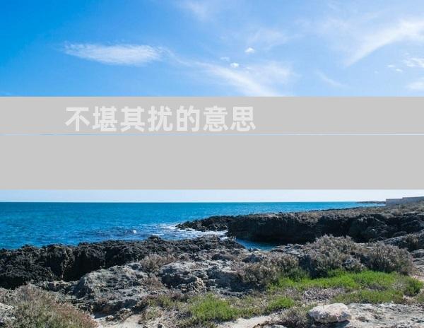 不堪其扰的意思