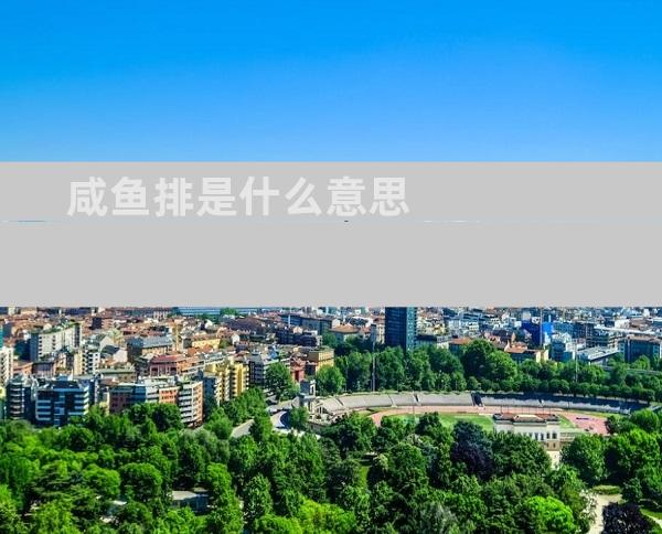 咸鱼排是什么意思