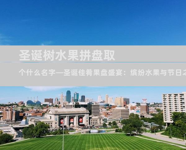 圣诞树水果拼盘取个什么名字—圣诞佳肴果盘盛宴：缤纷水果与节日之光