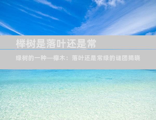 榉树是落叶还是常绿树的一种—櫸木：落叶还是常绿的谜团揭晓