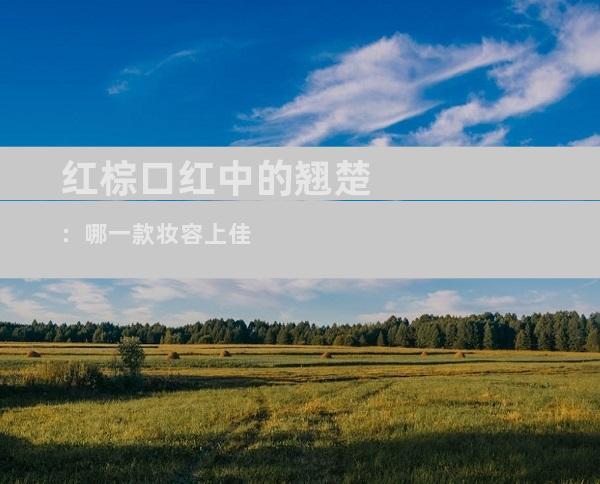 红棕口红中的翘楚：哪一款妆容上佳