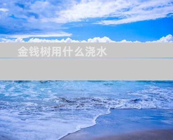 金钱树用什么浇水