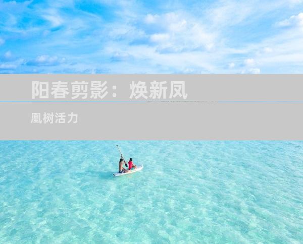 阳春剪影：焕新凤凰树活力