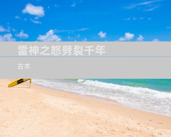 雷神之怒劈裂千年古木